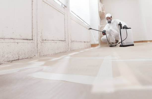 24/7 Emergency Mold Removal experts in Jackson, MI